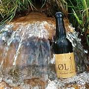 Bier im Quellwasser Ausschnitt