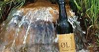 Bier im Quellwasser Ausschnitt