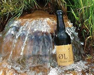 Bier im Quellwasser